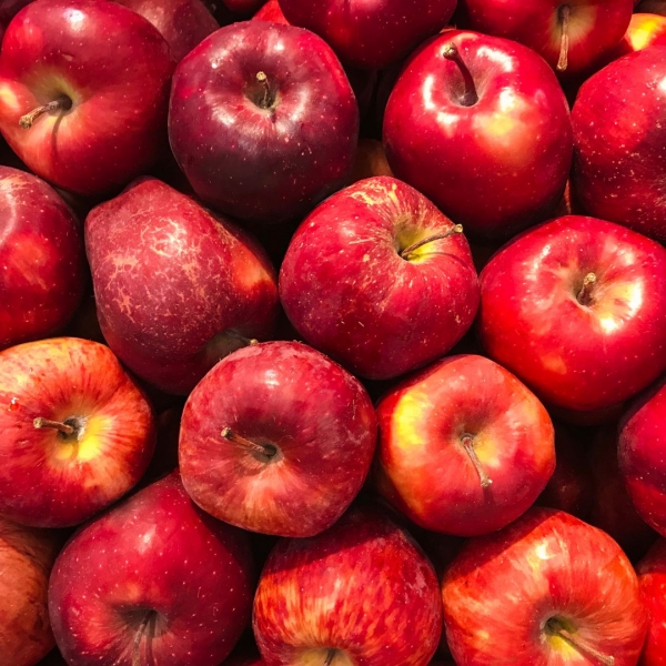 FSS Phyto-Biotics Apple